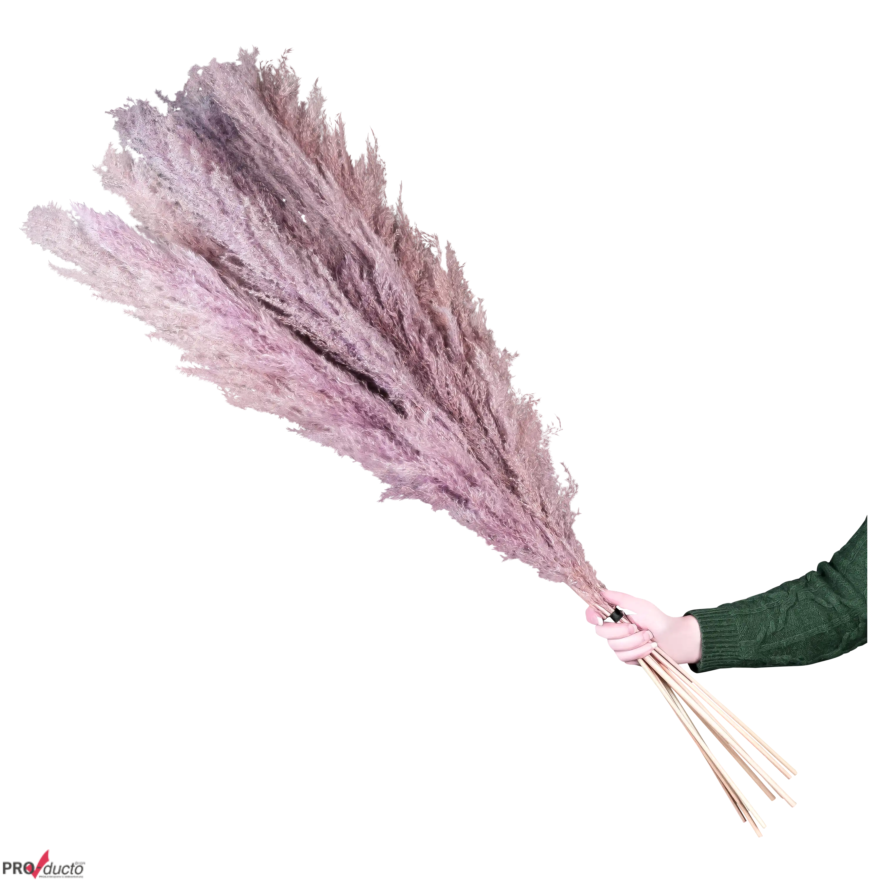 Eine Hand in einem grünen Pullover hält einen großen Strauß aus flauschigen, zartrosa getrockneten Pampasgräsern.