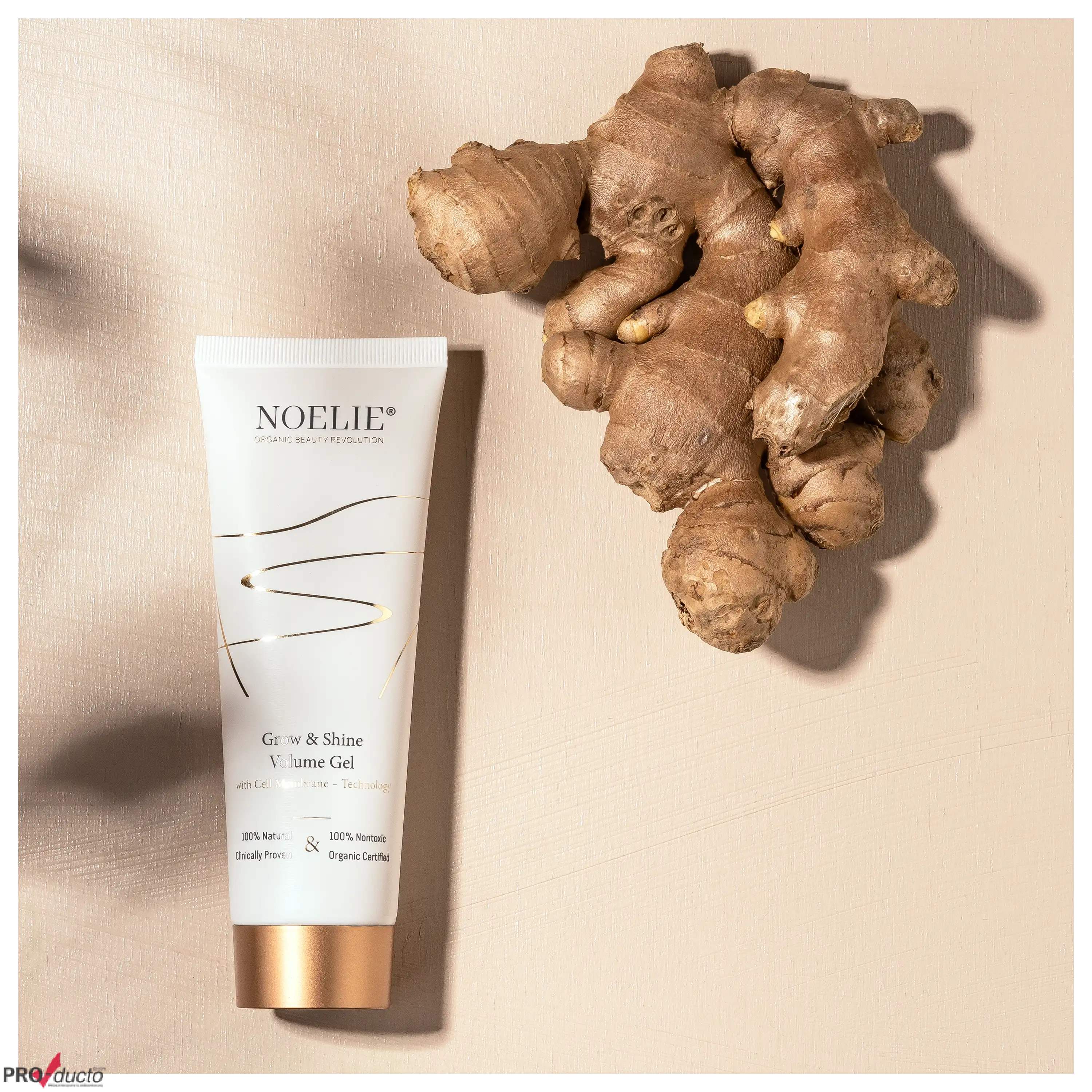 Professionelle Produktfotos von NOELIE Volume Gel neben frischer Ingwerwurzel auf beigem Untergrund von PRO-ducto.