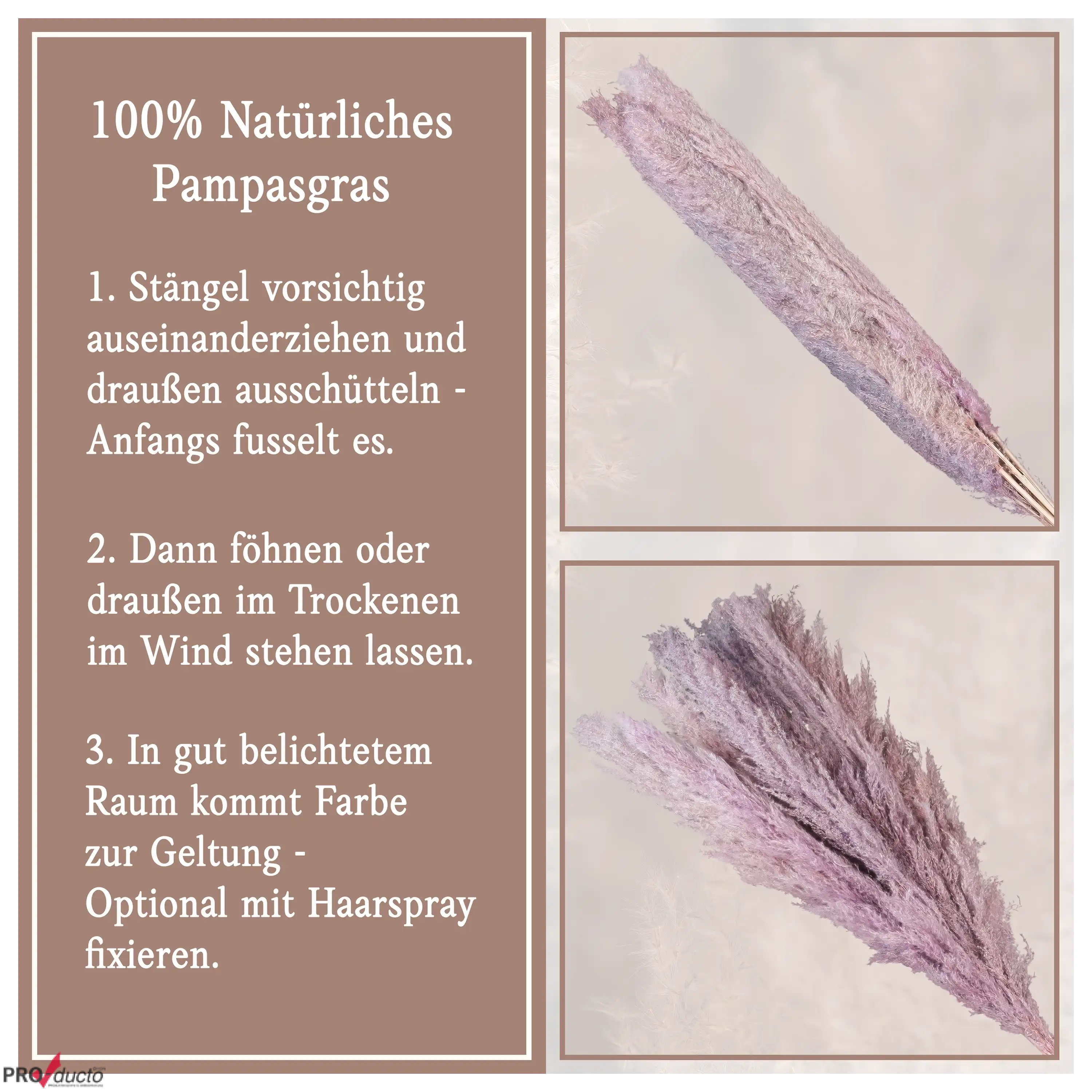 Anleitung zur Pflege von natürlichem Pampasgras mit Tipps zum Aufschütteln, Trocknen und Fixieren der Pflanze.