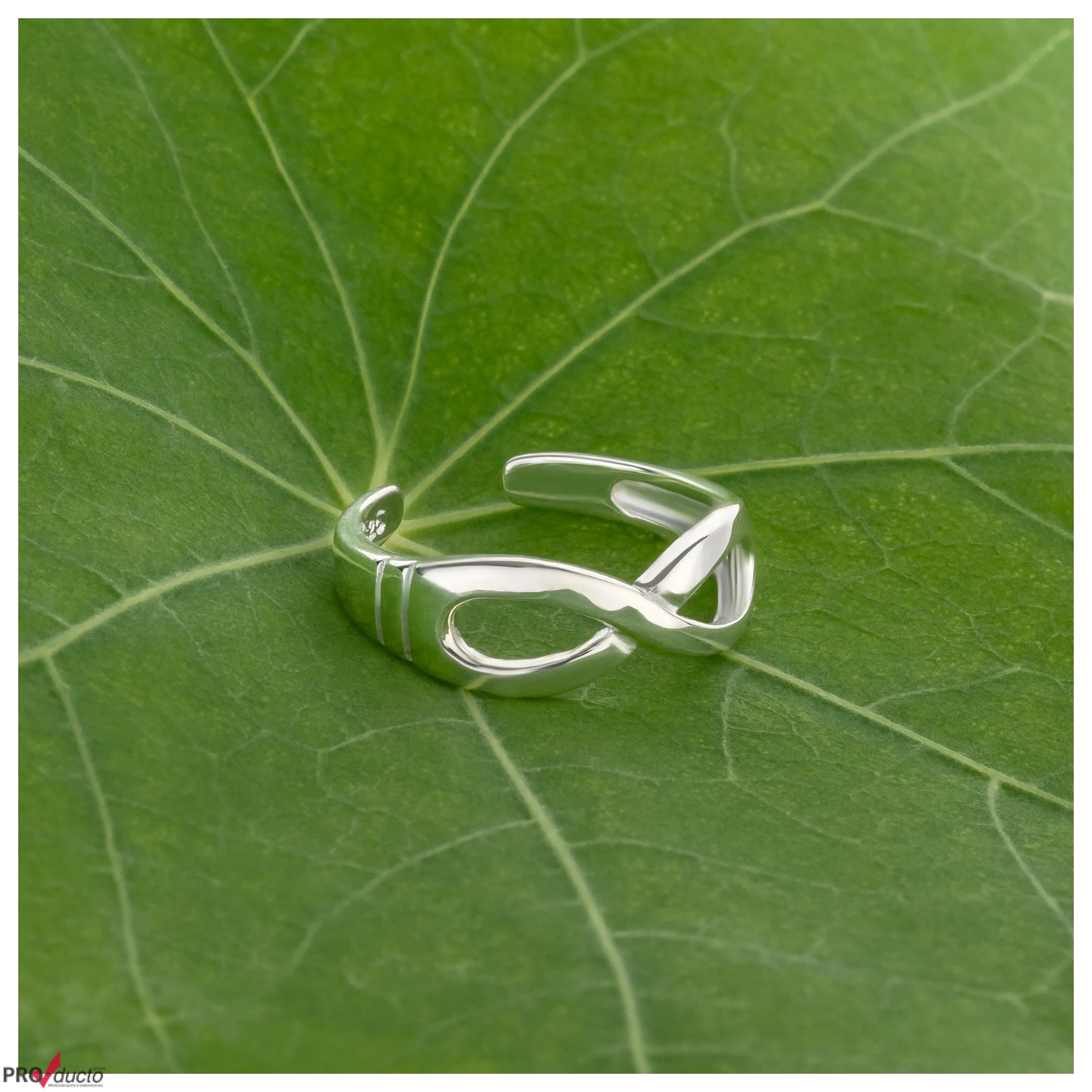 Ein silberner Ring mit Unendlichkeitssymbol auf einem grünen Blatt, fotografiert von der PRO-ducto GmbH.