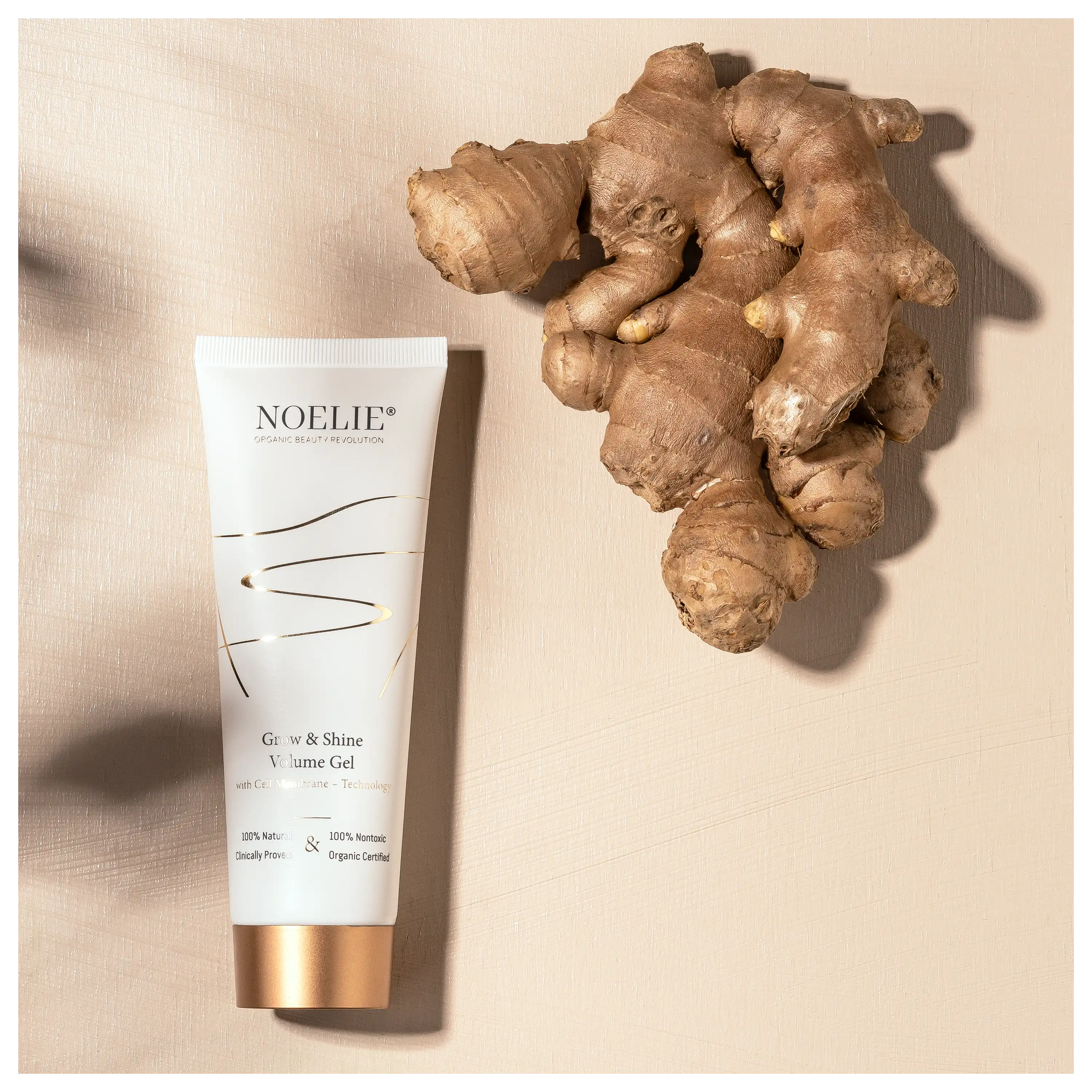 Professionelle Produktfotos von NOELIE Volume Gel neben frischer Ingwerwurzel auf beigem Untergrund von PRO-ducto.