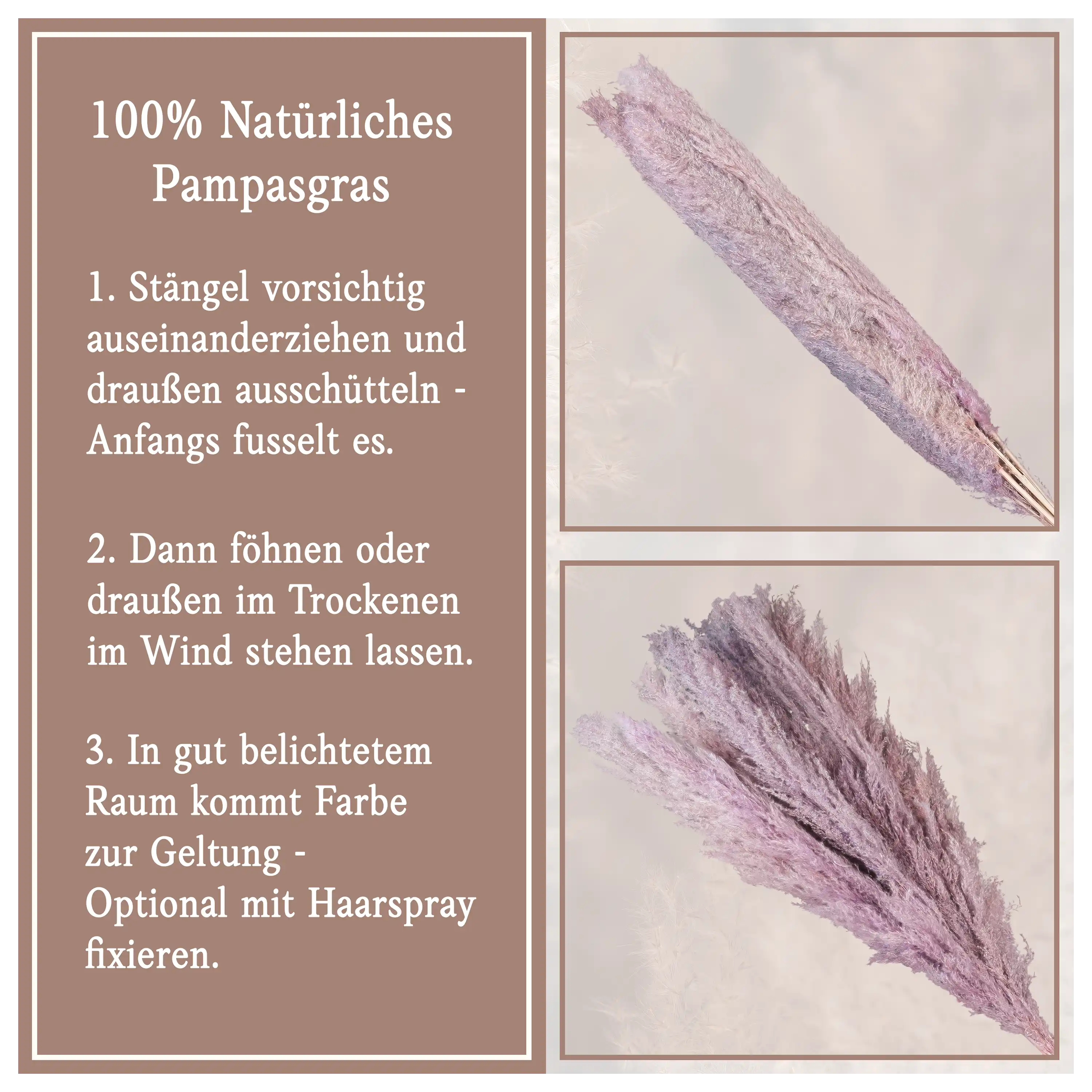 Anleitung zur Pflege von natürlichem Pampasgras mit Tipps zum Aufschütteln, Trocknen und Fixieren der Pflanze.