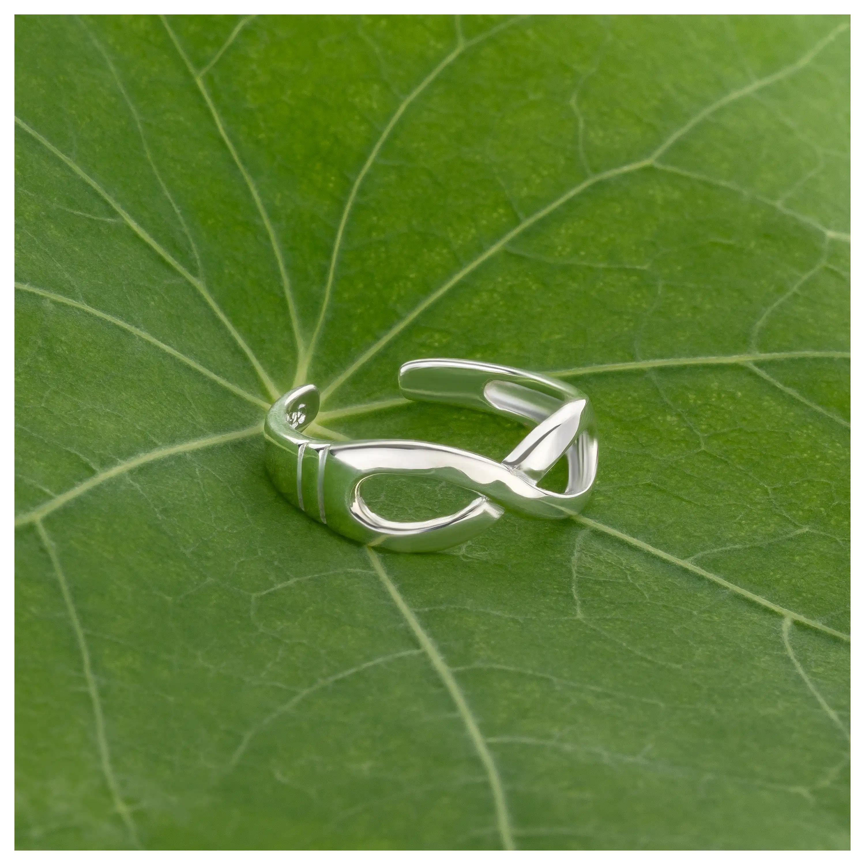 Ein silberner Ring mit Unendlichkeitssymbol auf einem grünen Blatt, fotografiert von der PRO-ducto GmbH.